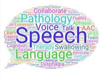 Speech/Language Pathologist Consortium